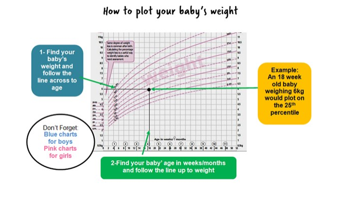 Graphic depicting how to plot your baby's weight